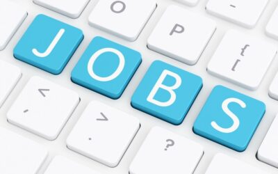 Lic hfl apprentice recruitment 2025 notification out for 192 posts apply online now 4 2025 09 2b94ba.jpeg