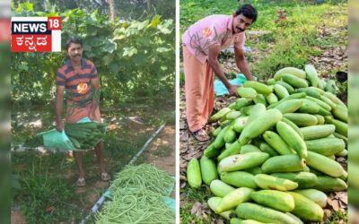 Untitled design 2025 05 30t213847.263 2025 05 264fae100e23746e3302c3a8d5f52de3 3x2.jpg