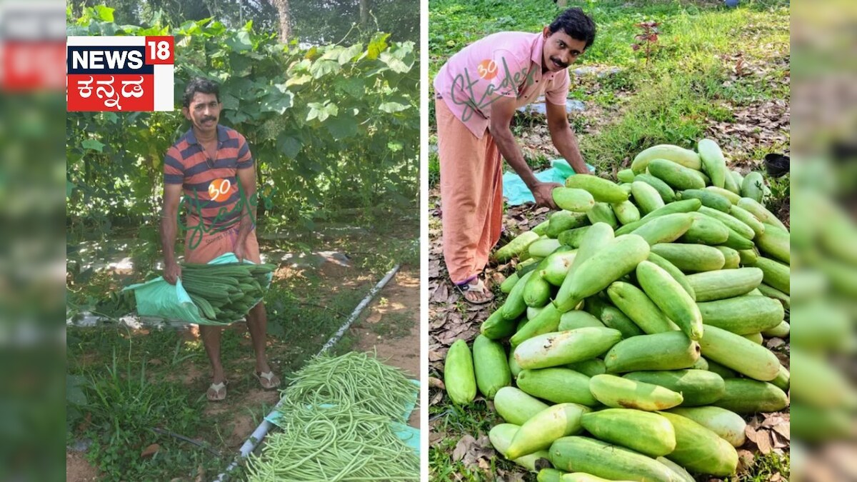 Untitled design 2025 05 30t213847.263 2025 05 264fae100e23746e3302c3a8d5f52de3 3x2.jpg