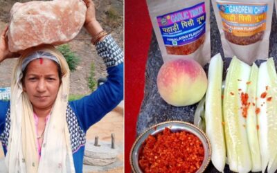 Untitled design 28 2025 06 cf445188f20a843e9bd47f7480c8171b.jpg