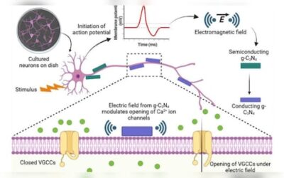 Nano particle brain 1 2025 09 212528cc5e310b83941409e6fb832e8e.jpg