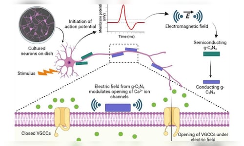 Nano particle brain 1 2025 09 212528cc5e310b83941409e6fb832e8e.jpg