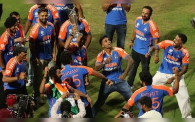 Team india celebrates at wankhede after winning the 2024 t20 world cup 2025 01 dd549aa597be8ff62d5a3.jpeg