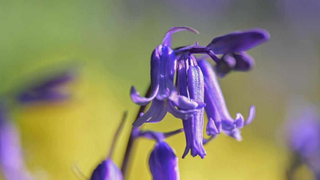 20d4b490 a4fc 11f0 92db 77261a15b9d2.jpg