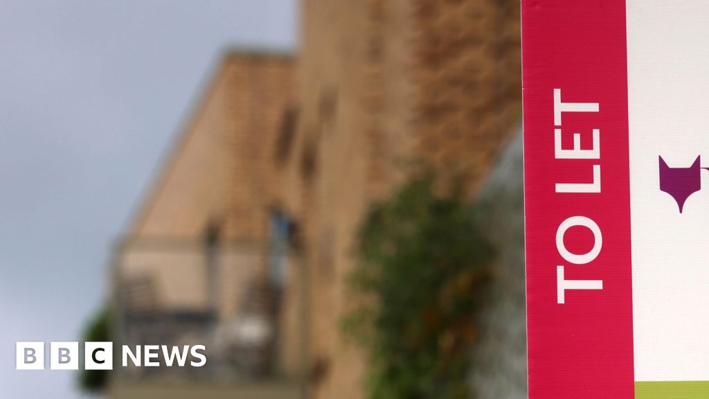 A6b89910 a2a3 11f0 b741 177e3e2c2fc7.jpg