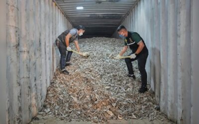 Ap25294381666588 2025 10 b622cb25faff7cc341310ac28757b826 scaled.jpg