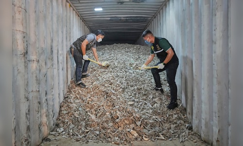 Ap25294381666588 2025 10 b622cb25faff7cc341310ac28757b826 scaled.jpg