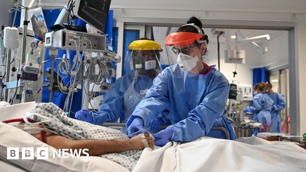 3425de80 7c11 11ef b02d c5f3b724a1ea.jpg