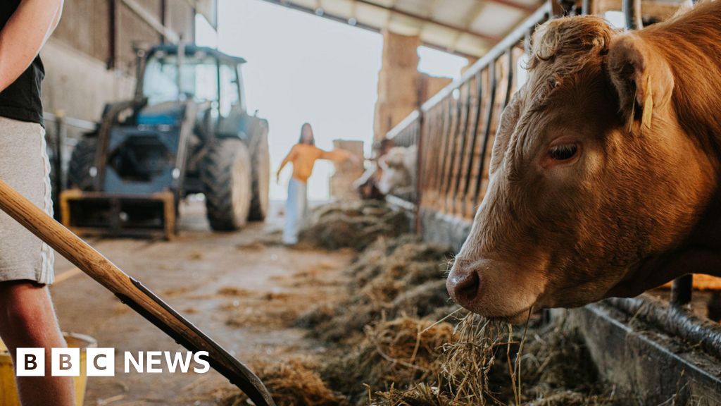 8d4e2700 d06c 11f0 b6ef e721b9e1ef03.jpg