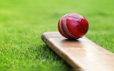 Cricket shutterstock.jpg