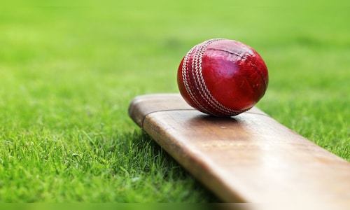 Cricket shutterstock.jpg