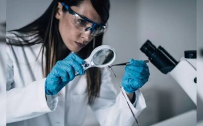 Your paragraph text 2025 12 18t152955.624 2025 12 3d4eef8d9d76260f5adf400c37c80751 3x2.jpg