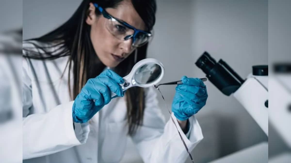 Your paragraph text 2025 12 18t152955.624 2025 12 3d4eef8d9d76260f5adf400c37c80751 3x2.jpg