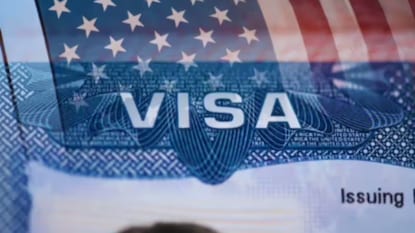Visa 2025 11 2ee3fa13e36b59db7a984ad5bfec3e30.jpg