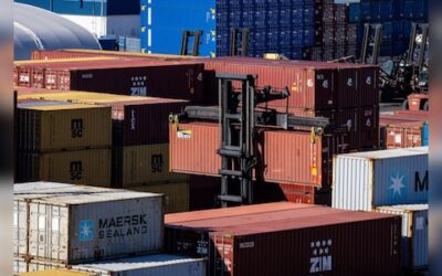 449861136 2026 02 d9d32e8fa58c6714cab7054688a1f71b.jpg