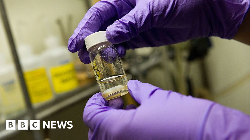 4a4f60e0 0dd4 11f1 9972 d3f265c101c6.jpg