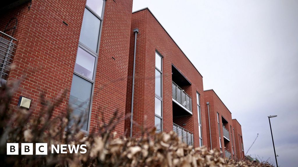 7447f6a0 02b7 11f1 9972 d3f265c101c6.jpg