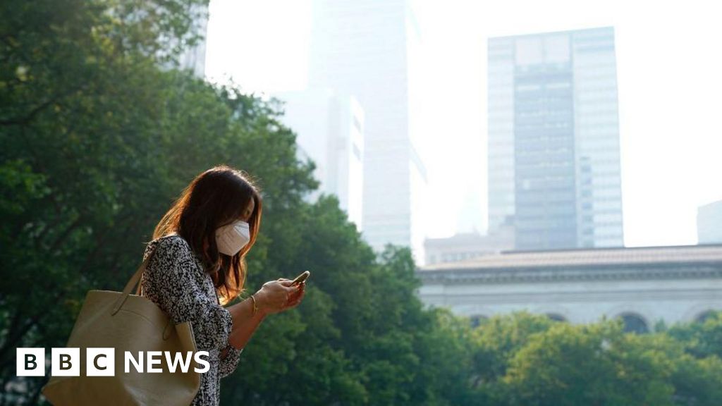 A2d11e60 0119 11f1 a88f 113f60a613fb.jpg