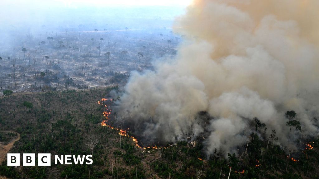 F7180f30 05b3 11f1 9972 d3f265c101c6.jpg