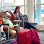 037f6070 1955 11f1 b402 73299da4d55f.jpg