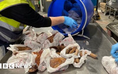 1abb1ca0 e325 11ef a819 277e390a7a08.jpg