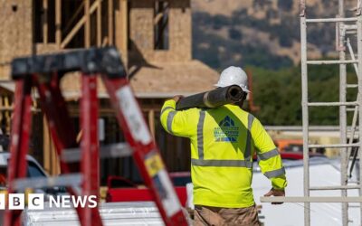 41eb38e0 1962 11f1 a1cd a71e69f1cf89.jpg