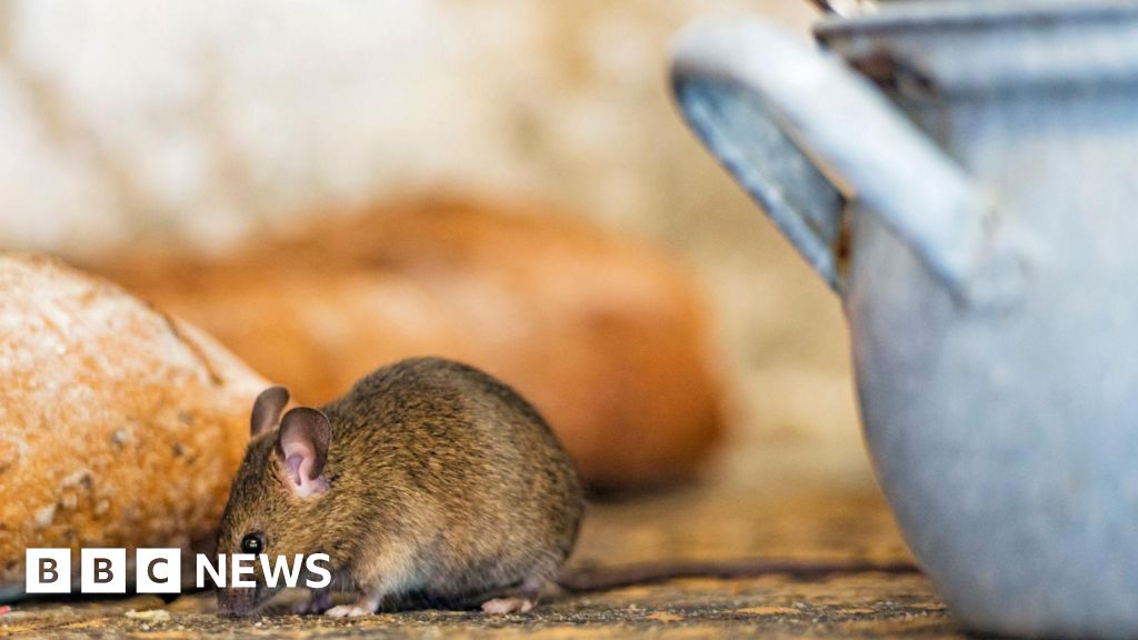 566f77b0 269e 11f1 a16a 956182e79678.jpg