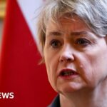 6a8cacb0 2386 11f1 a79a 77e93010d956.jpg