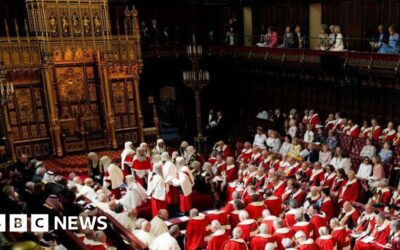 89aa7000 1981 11f1 9156 4356592fc9c8.jpg