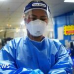 97233d30 239e 11f1 b790 6d42cdb7b9c3.jpg