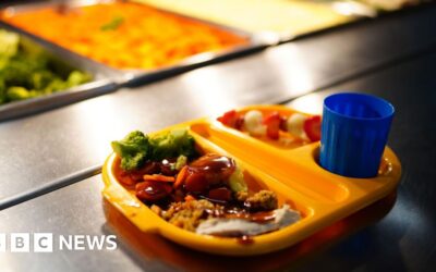 B17230a0 1968 11f1 a1cd a71e69f1cf89.jpg