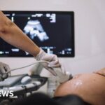 D219c360 b62e 11f0 8c22 1dd3bd1762ee.jpg