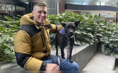 Paul conyngham 2026 03 932394ad3aa6e09145f8066bc79161d2.jpg