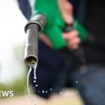 2d7d8d60 3c4c 11f1 995c 0b1e92f7d783.jpg