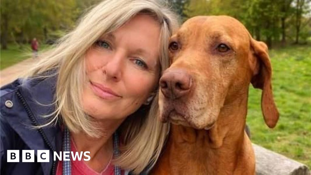 94183f70 3d6e 11f1 bd52 e755d604ece4.jpg