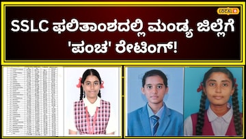 Your paragraph text 33 2026 04 4085849d66f6861e3d2af0068820214b.jpg