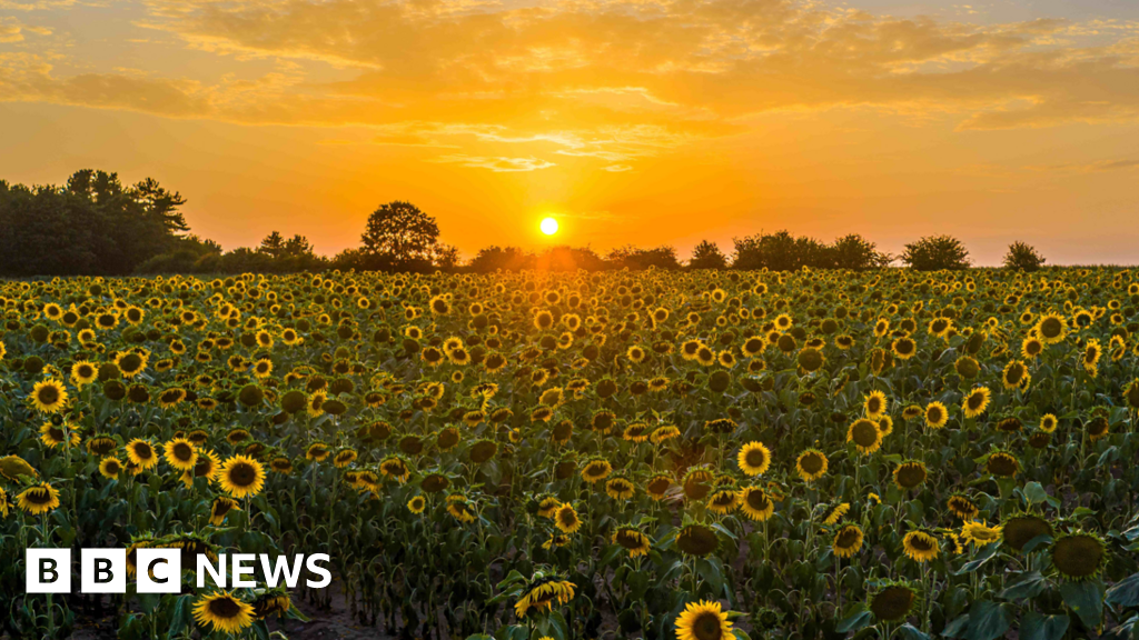 Ee980650 2e83 11f1 98e7 6b639170d418.png