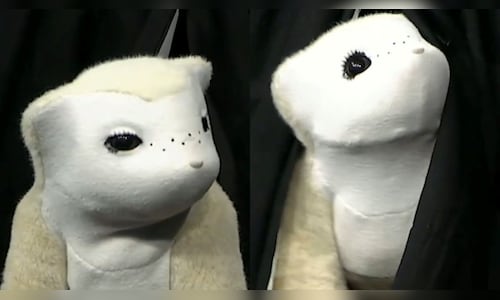 Familiar ai robot 2026 05 5dd82ed2d26221594b0cbb1421e64fc6.jpg